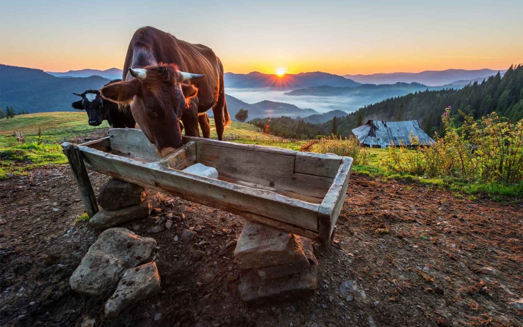 La montagna ci fa belli: energia e leggerezza con la Bresaola della Valtellina IGP