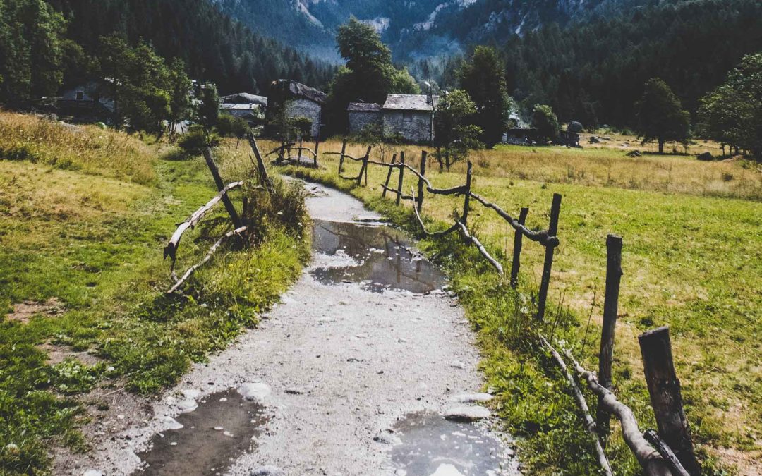 Il sentiero della semplicità porta ai formaggi di montagna