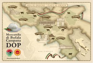 territorio denominazione origine protetta bufala campana