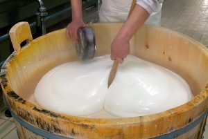 lavorazione latte di bufala per produrre la mozzarella di bufala campana