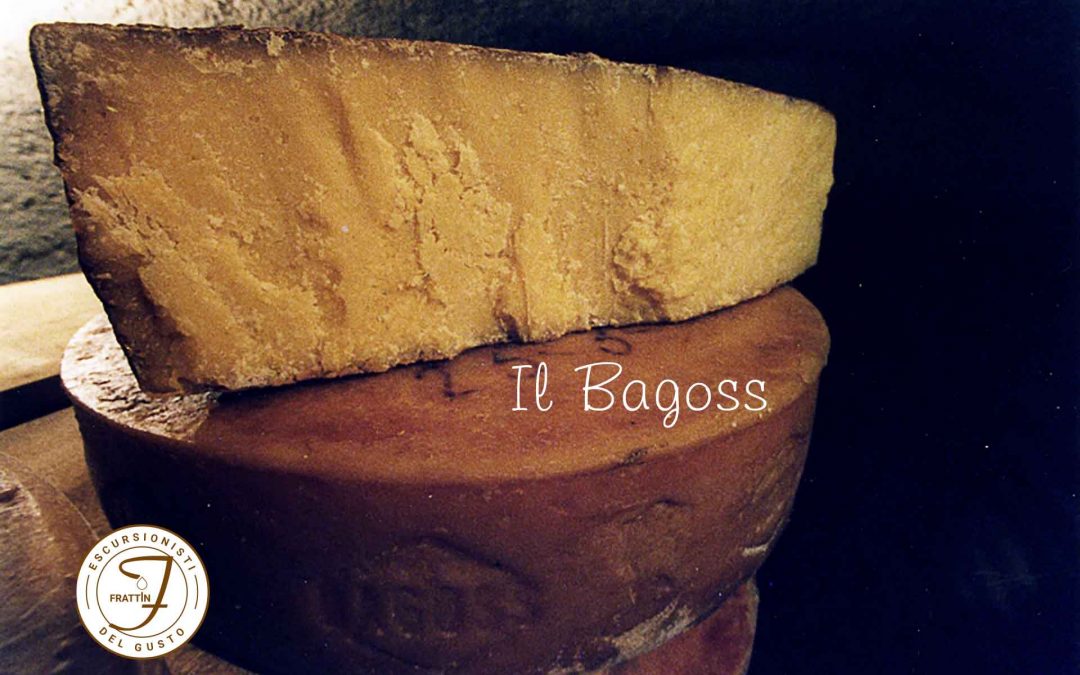 Sulla vetta del gusto: il Bagòss