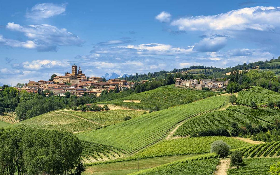 La buona tradizione piemontese: la Robiola di Roccaverano